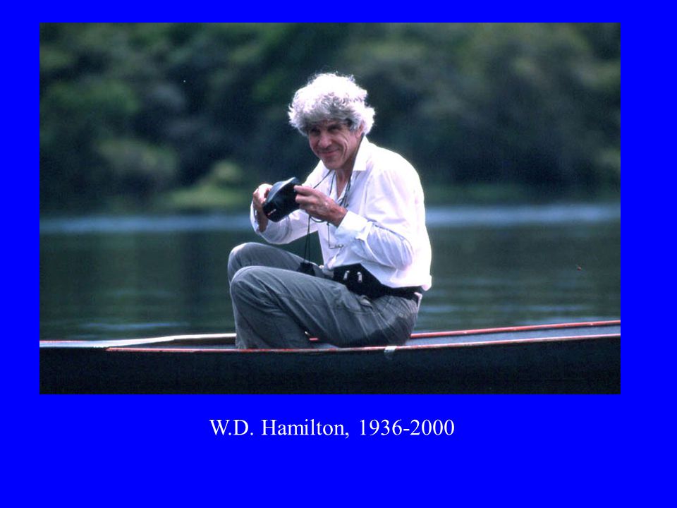 W.D. Hamilton,
