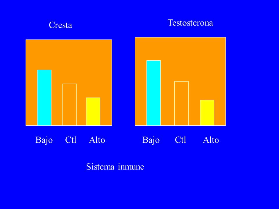 Testosterona Cresta Bajo Ctl Alto Bajo Ctl Alto Sistema inmune