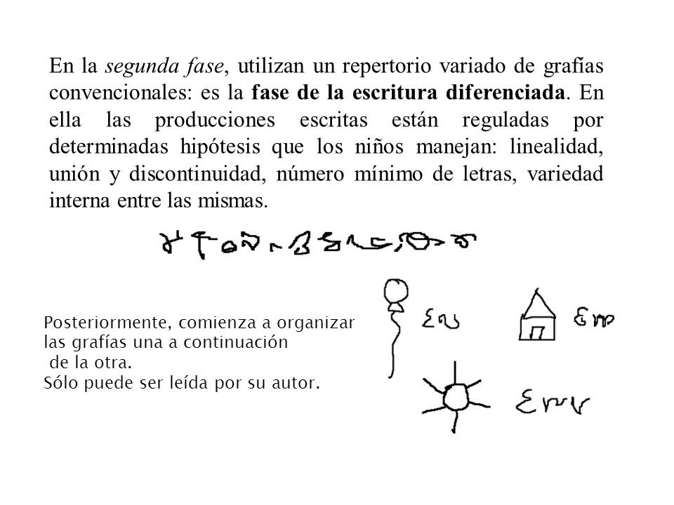 En la segunda fase, utilizan un repertorio variado de grafías convencionales: es la fase de la escritura diferenciada. En ella las producciones escritas están reguladas por determinadas hipótesis que los niños manejan: linealidad, unión y discontinuidad, número mínimo de letras, variedad interna entre las mismas.