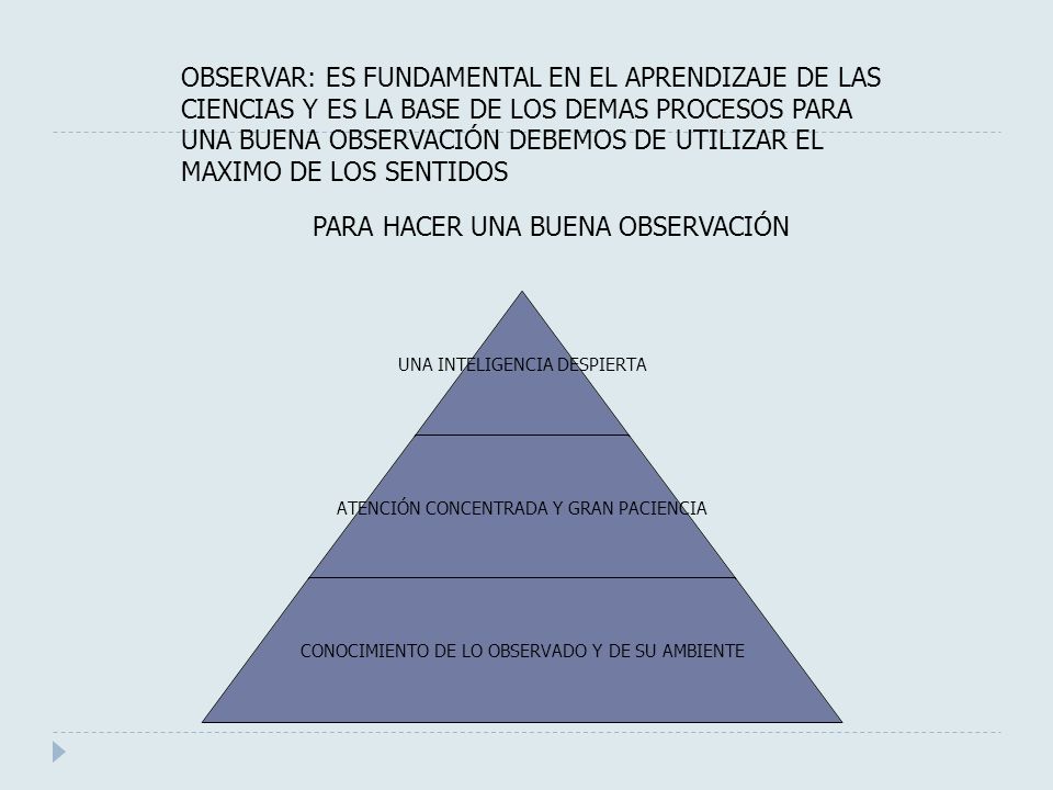 OBSERVAR: ES FUNDAMENTAL EN EL APRENDIZAJE DE LAS CIENCIAS Y ES LA BASE DE LOS DEMAS PROCESOS PARA UNA BUENA OBSERVACIÓN DEBEMOS DE UTILIZAR EL MAXIMO DE LOS SENTIDOS