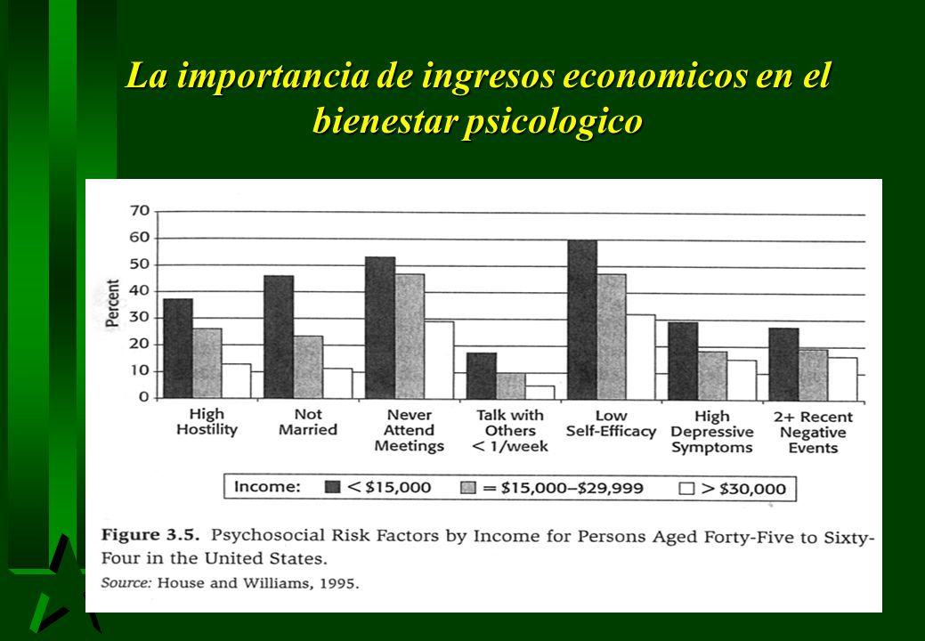 La importancia de ingresos economicos en el bienestar psicologico