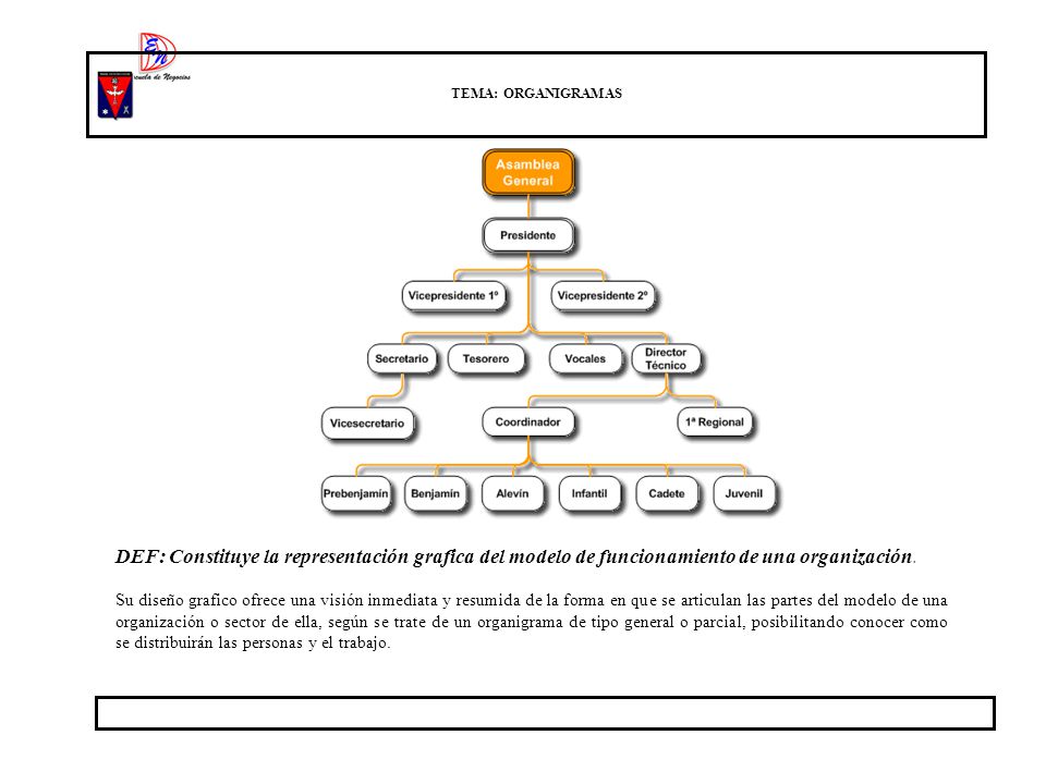 TEMA: ORGANIGRAMAS DEF: Constituye la representación grafica del modelo de funcionamiento de una organización.