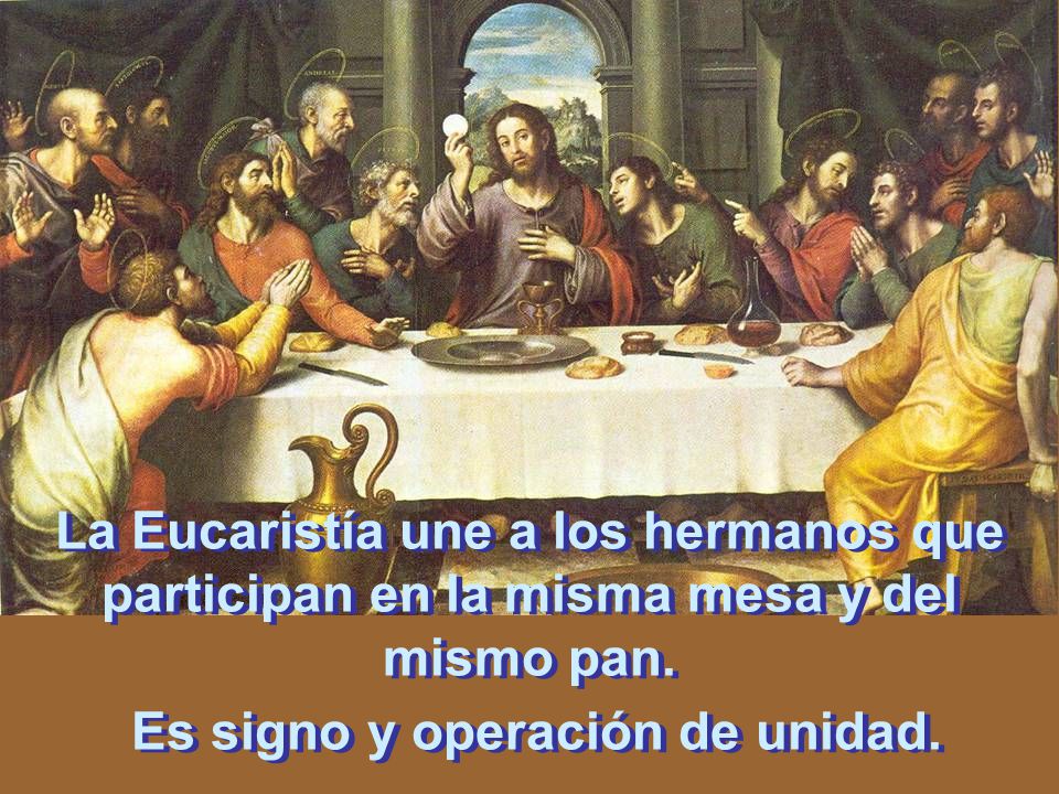 La Eucaristía une a los hermanos que participan en la misma mesa y del mismo pan.