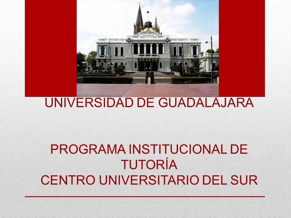 UNIVERSIDAD DE GUADALAJARA PROGRAMA INSTITUCIONAL DE TUTORÍA CENTRO UNIVERSITARIO DEL SUR