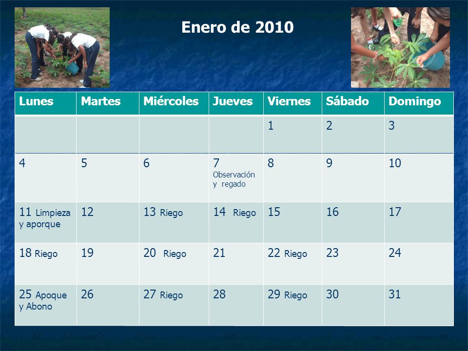 Enero de 2010 Lunes Martes Miércoles Jueves Viernes Sábado Domingo 1 2