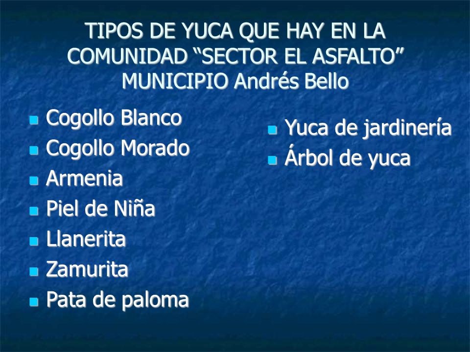 TIPOS DE YUCA QUE HAY EN LA COMUNIDAD SECTOR EL ASFALTO MUNICIPIO Andrés Bello