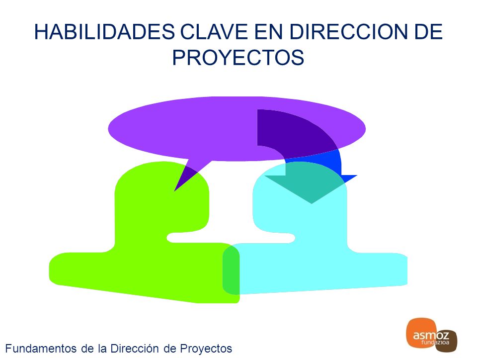 HABILIDADES CLAVE EN DIRECCION DE PROYECTOS