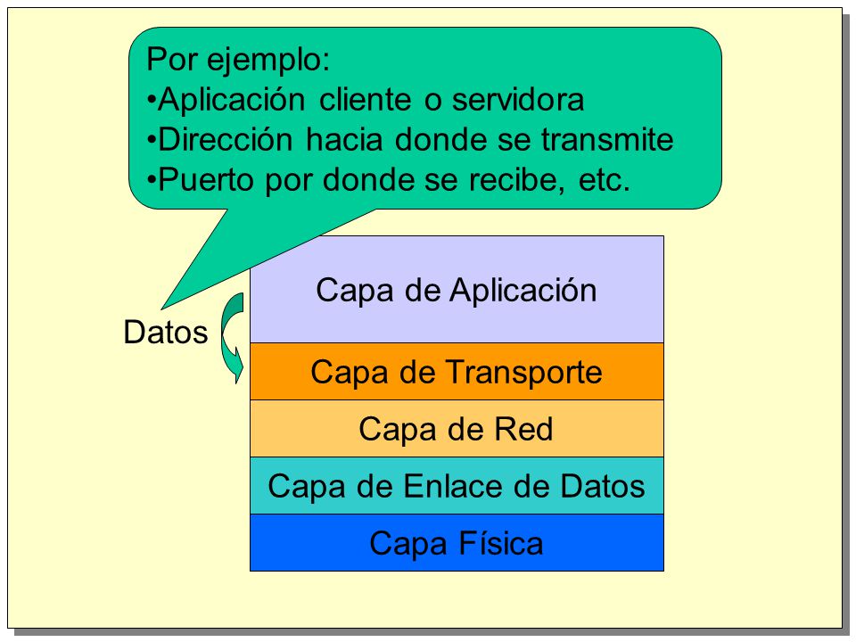 Por ejemplo: Aplicación cliente o servidora. Dirección hacia donde se transmite. Puerto por donde se recibe, etc.
