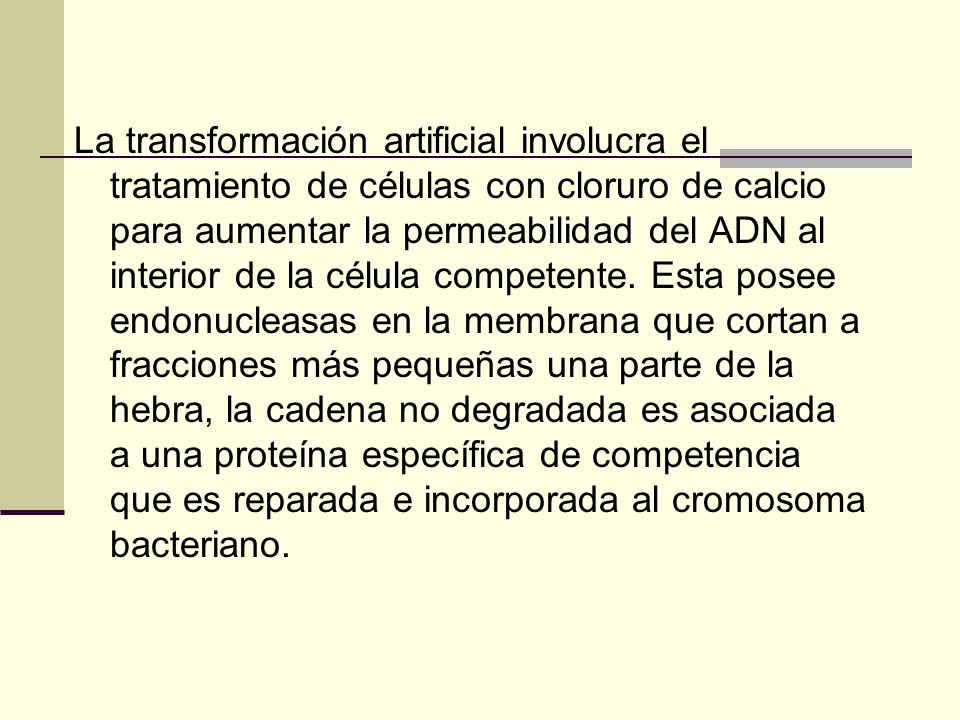 La transformación artificial involucra el tratamiento de células con cloruro de calcio para aumentar la permeabilidad del ADN al interior de la célula competente.