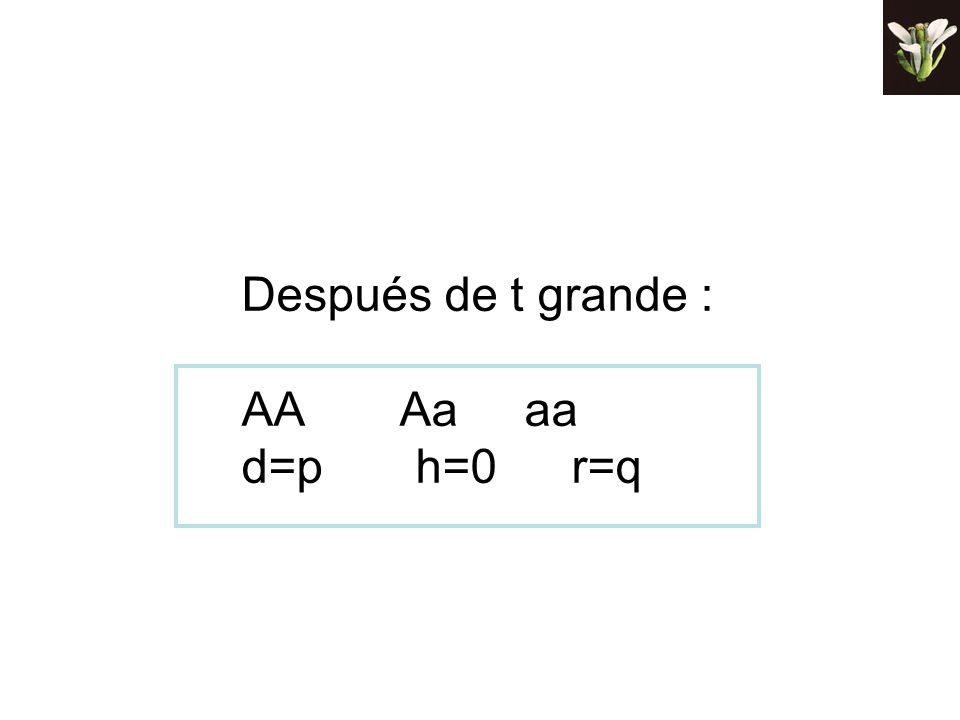 Después de t grande : AA Aa aa d=p h=0 r=q 36