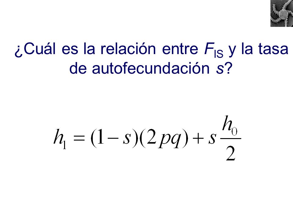 ¿Cuál es la relación entre FIS y la tasa de autofecundación s