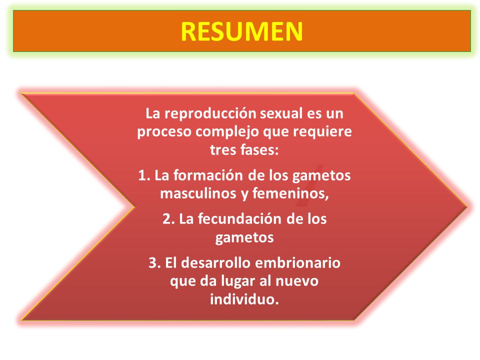 RESUMEN La reproducción sexual es un proceso complejo que requiere tres fases: 1. La formación de los gametos masculinos y femeninos,