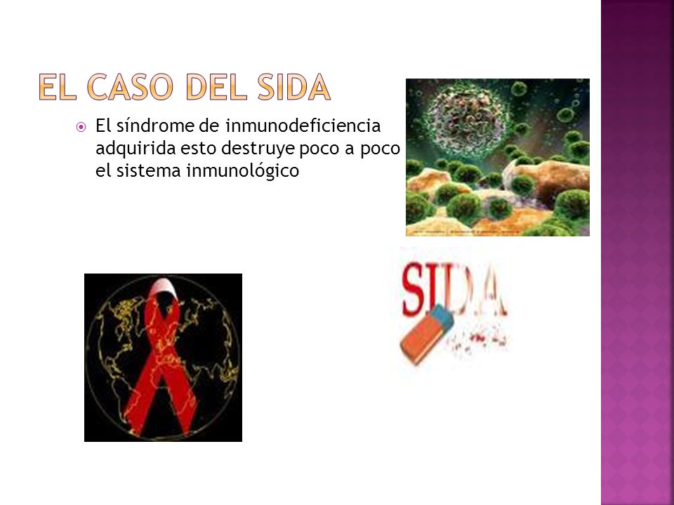 El caso del sida El síndrome de inmunodeficiencia adquirida esto destruye poco a poco el sistema inmunológico.