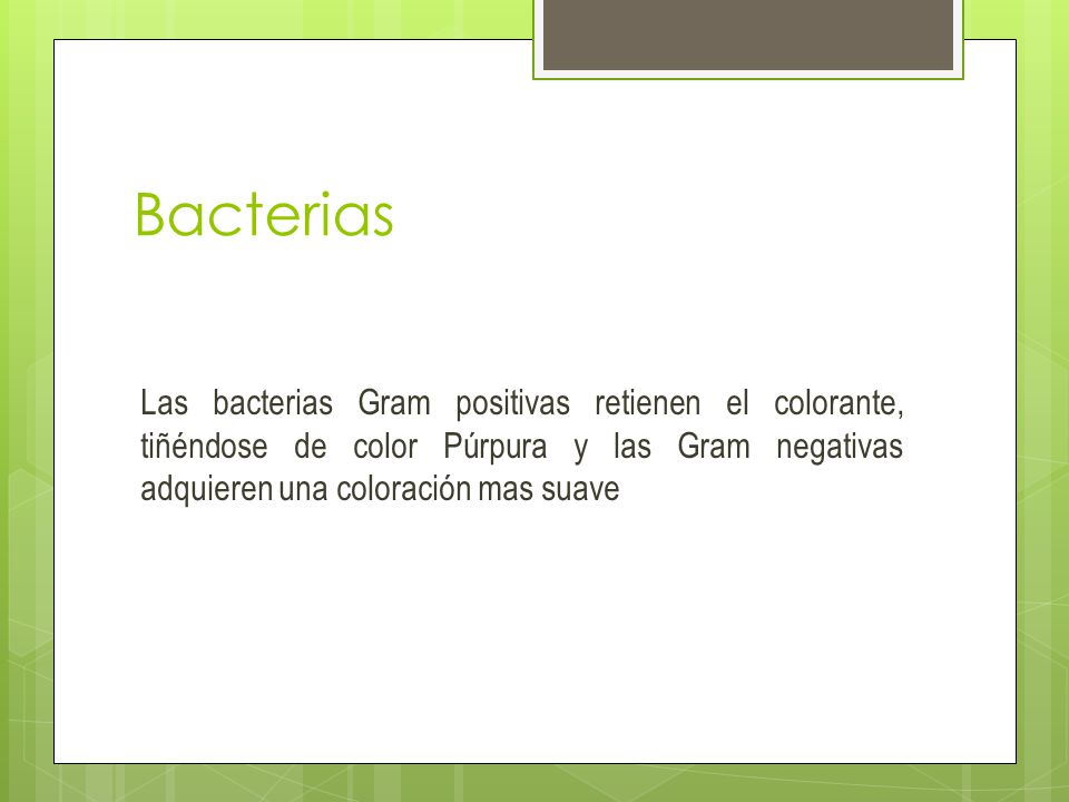 Bacterias Las bacterias Gram positivas retienen el colorante, tiñéndose de color Púrpura y las Gram negativas adquieren una coloración mas suave.