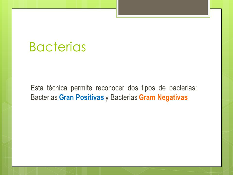 Bacterias Esta técnica permite reconocer dos tipos de bacterias: Bacterias Gran Positivas y Bacterias Gram Negativas.