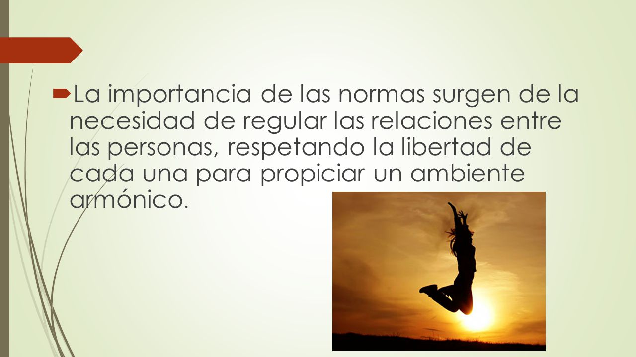 La importancia de las normas surgen de la necesidad de regular las relaciones entre las personas, respetando la libertad de cada una para propiciar un ambiente armónico.