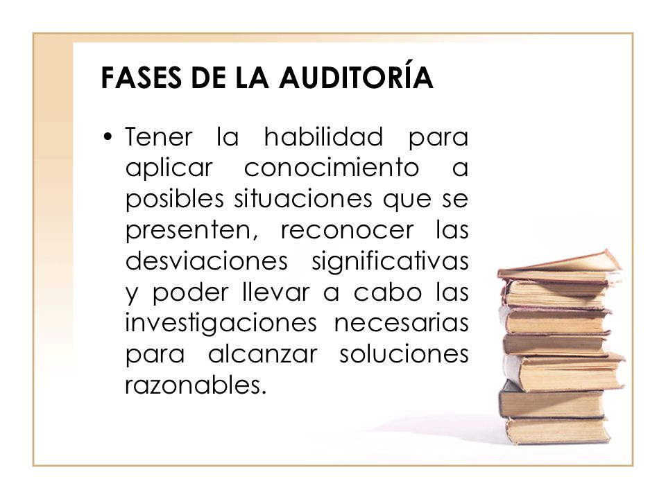 FASES DE LA AUDITORÍA