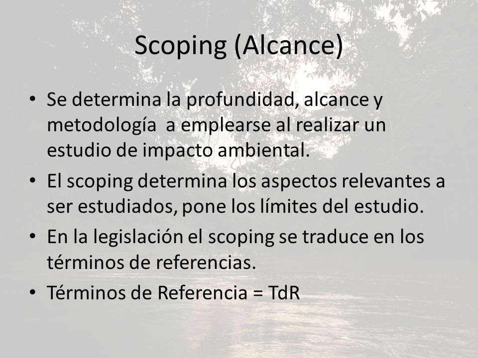 Scoping (Alcance) Se determina la profundidad, alcance y metodología a emplearse al realizar un estudio de impacto ambiental.