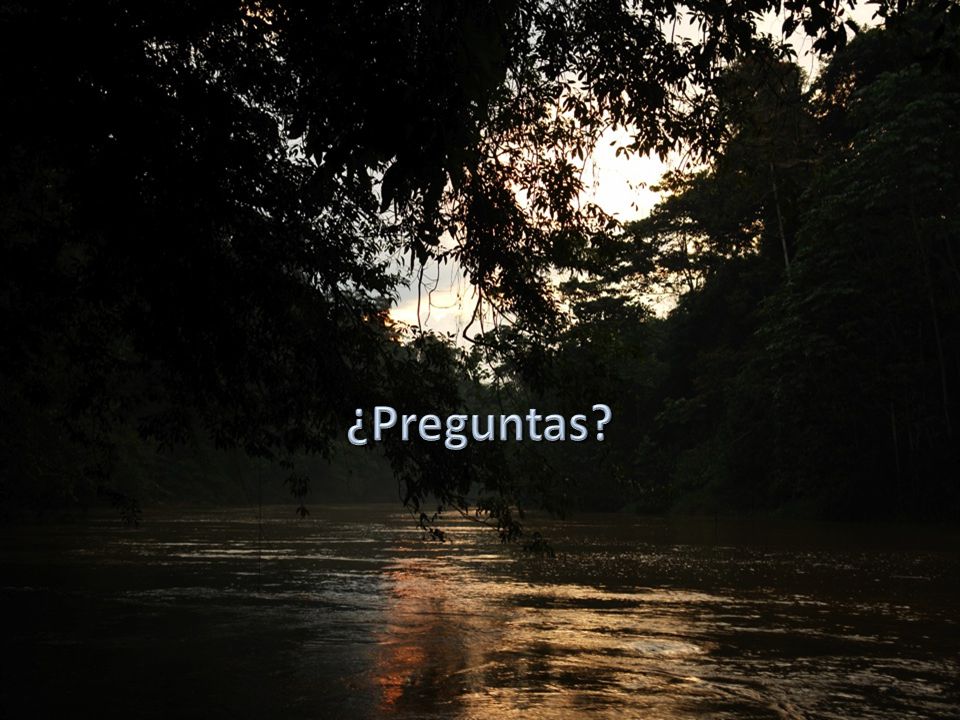 ¿Preguntas