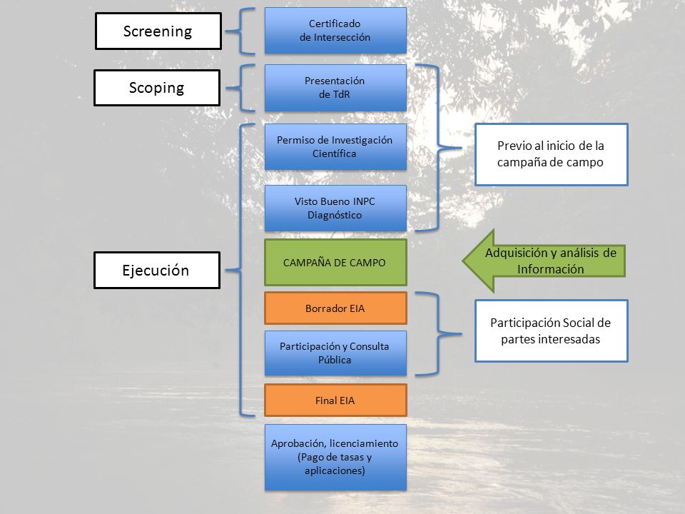 Screening Scoping Ejecución Previo al inicio de la campaña de campo