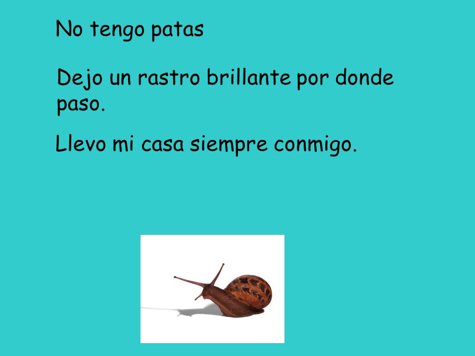 No tengo patas Dejo un rastro brillante por donde paso. Llevo mi casa siempre conmigo.