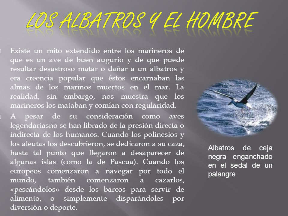 Los albatros y el Hombre
