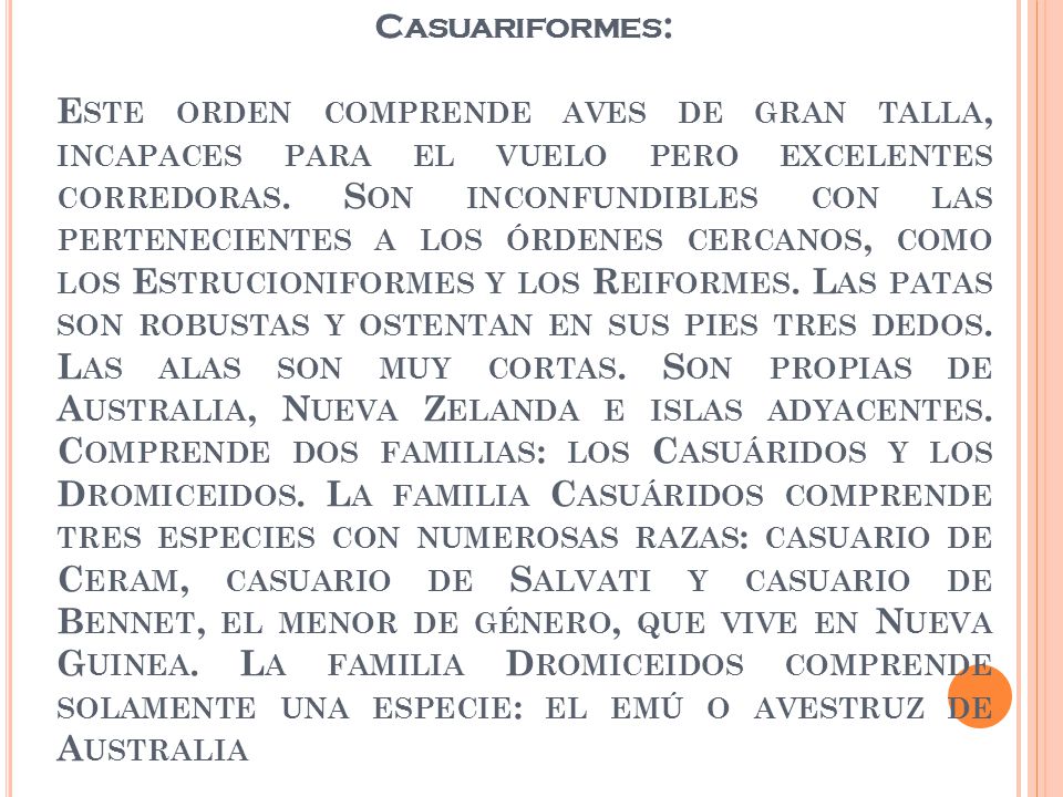 Casuariformes: Este orden comprende aves de gran talla, incapaces para el vuelo pero excelentes corredoras.