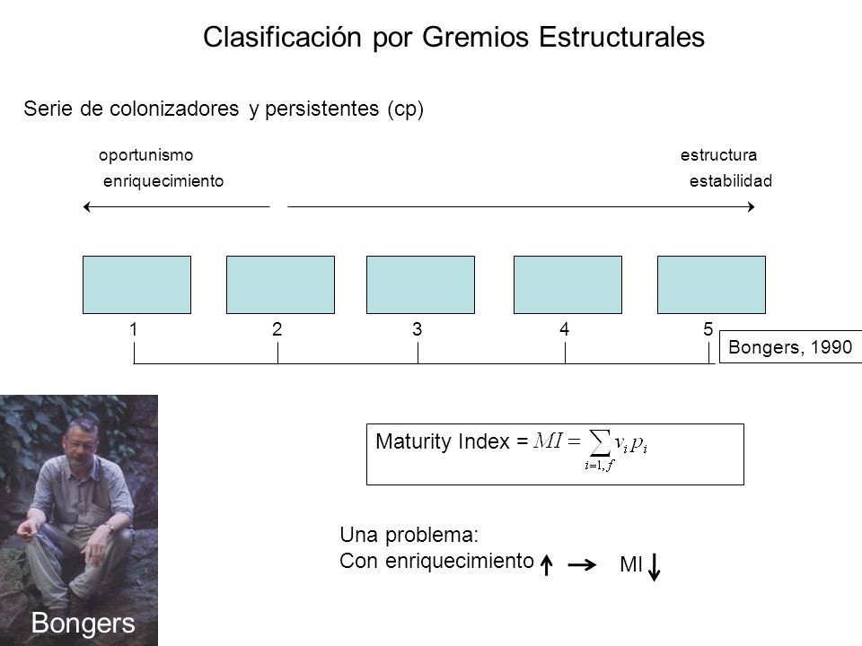 Serie de colonizadores y persistentes (cp)
