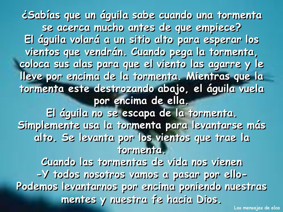 ¿Sabías que un águila sabe cuando una tormenta se acerca mucho antes de que empiece