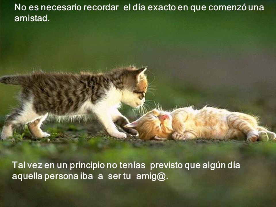 No es necesario recordar el día exacto en que comenzó una amistad.