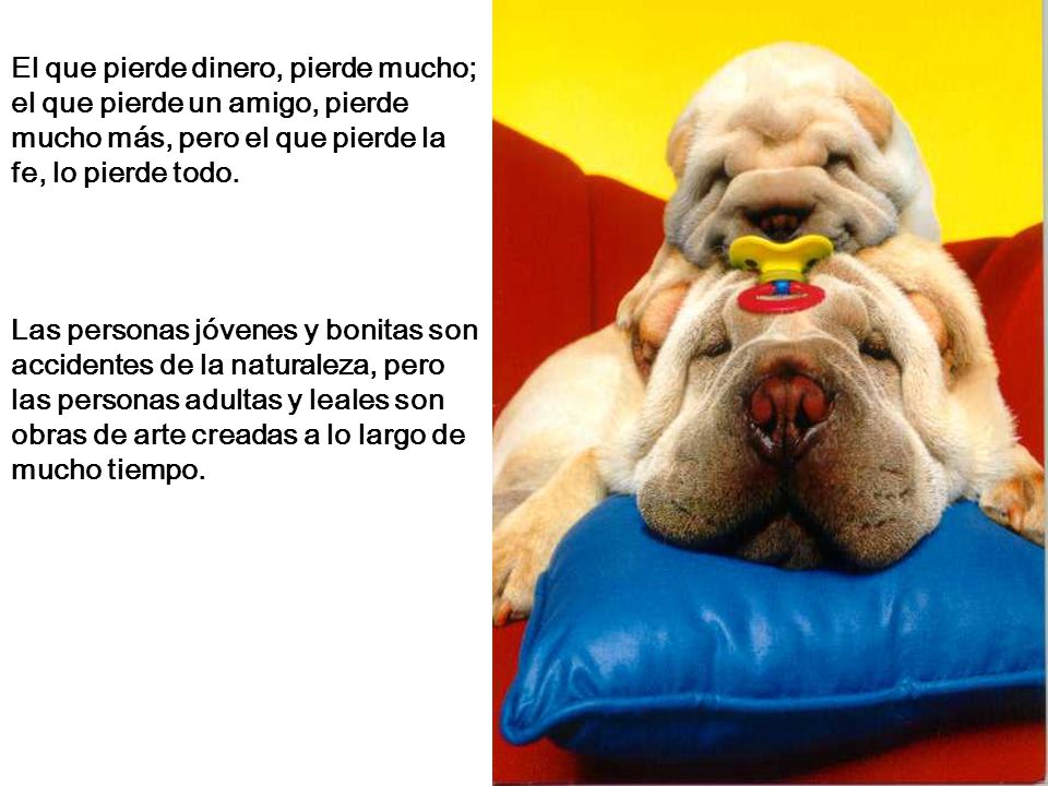 El que pierde dinero, pierde mucho; el que pierde un amigo, pierde mucho más, pero el que pierde la fe, lo pierde todo.