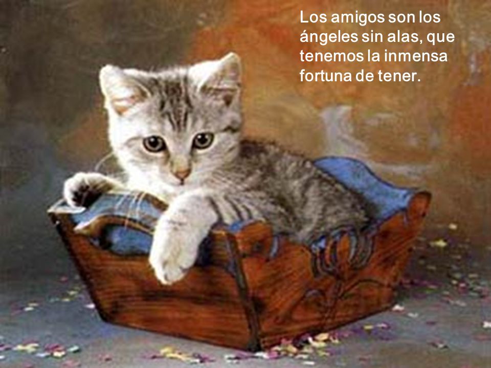 Los amigos son los ángeles sin alas, que tenemos la inmensa fortuna de tener.