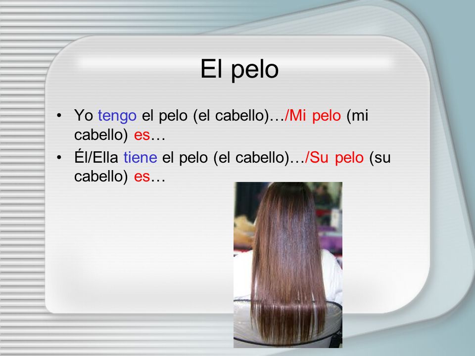 El pelo Yo tengo el pelo (el cabello)…/Mi pelo (mi cabello) es…