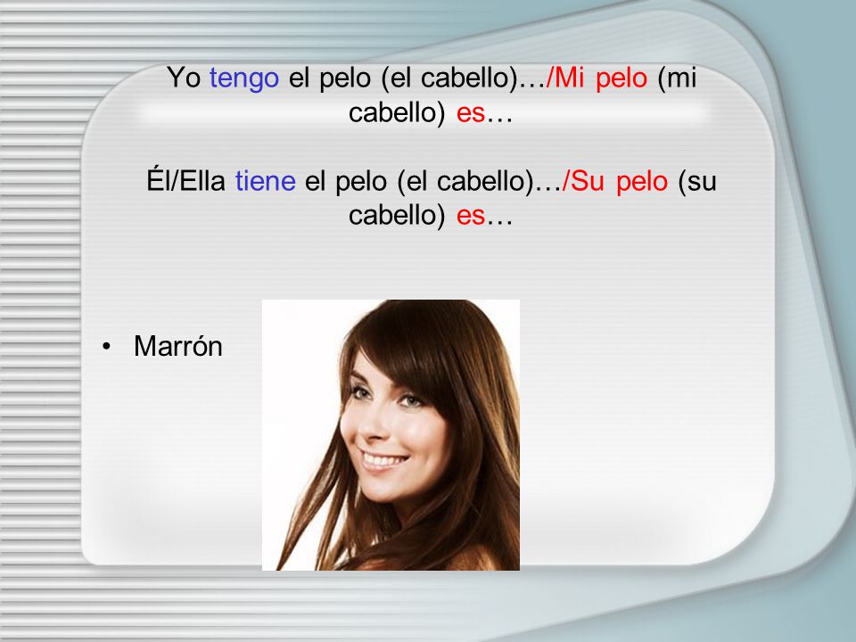 Yo tengo el pelo (el cabello)…/Mi pelo (mi cabello) es… Él/Ella tiene el pelo (el cabello)…/Su pelo (su cabello) es…