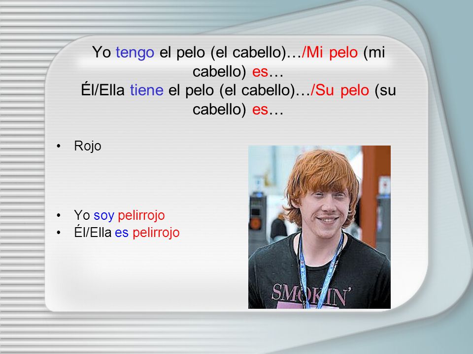 Yo tengo el pelo (el cabello)…/Mi pelo (mi cabello) es… Él/Ella tiene el pelo (el cabello)…/Su pelo (su cabello) es…