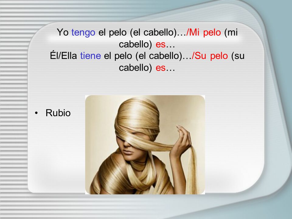 Yo tengo el pelo (el cabello)…/Mi pelo (mi cabello) es… Él/Ella tiene el pelo (el cabello)…/Su pelo (su cabello) es…