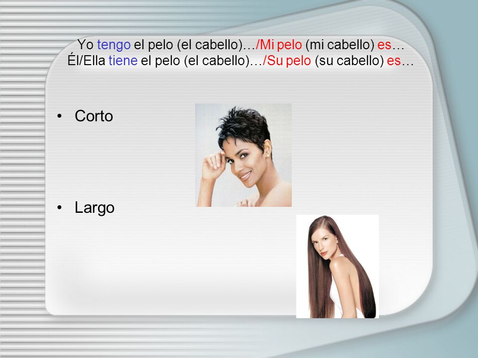 Yo tengo el pelo (el cabello)…/Mi pelo (mi cabello) es… Él/Ella tiene el pelo (el cabello)…/Su pelo (su cabello) es…