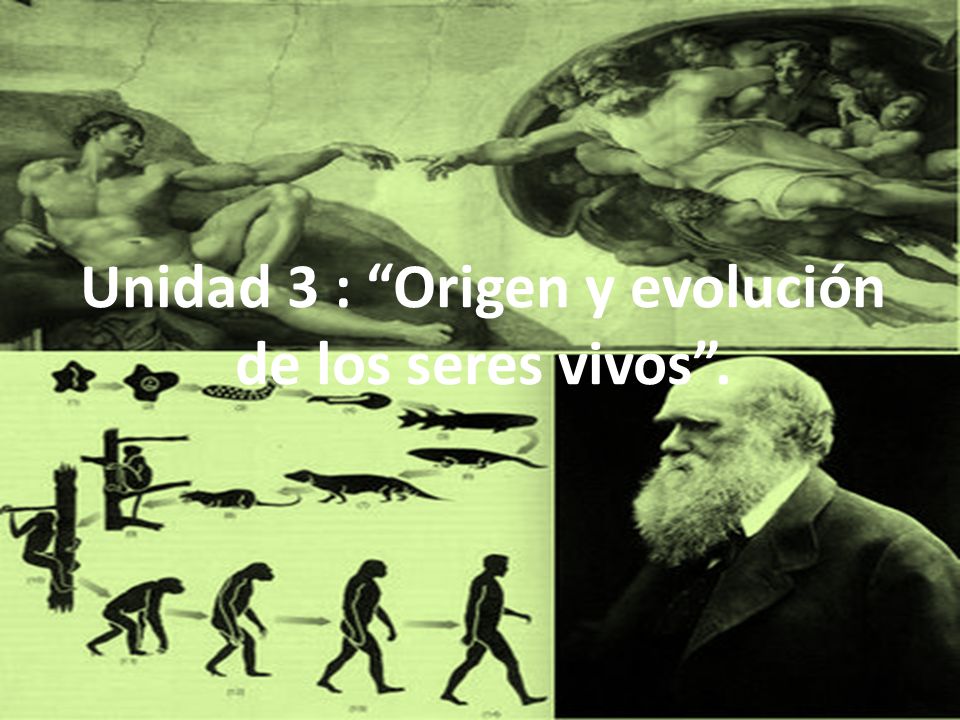 Unidad 3 : Origen y evolución de los seres vivos .