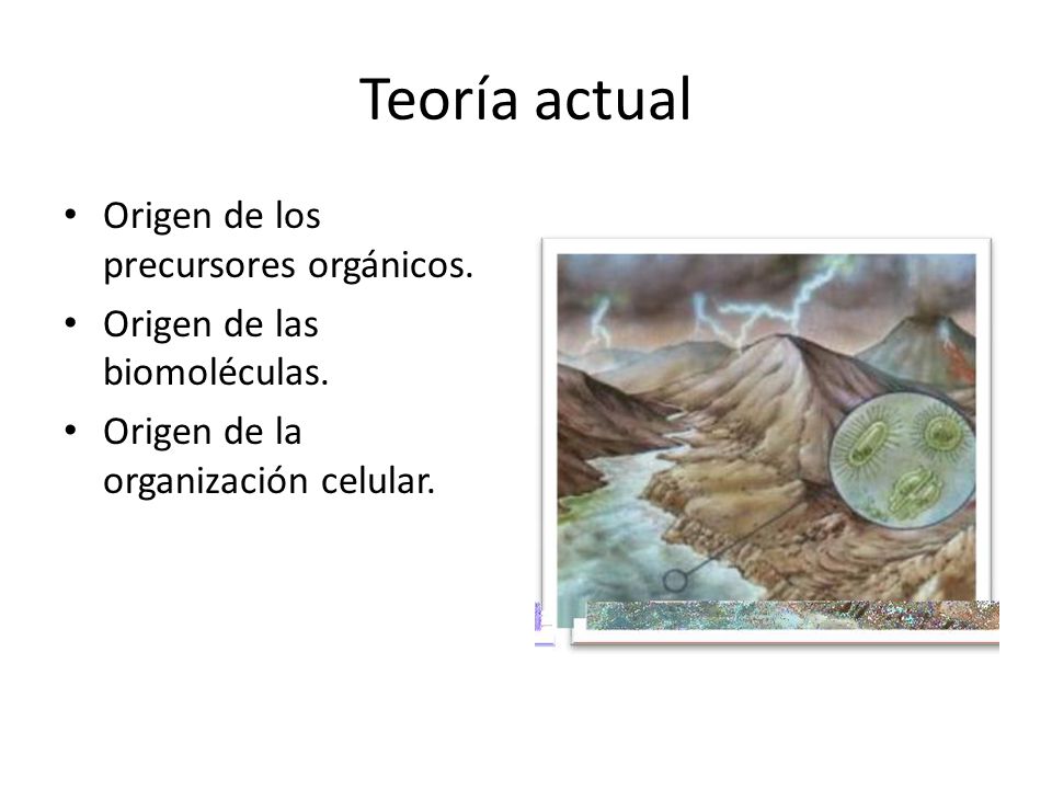Teoría actual Origen de los precursores orgánicos.