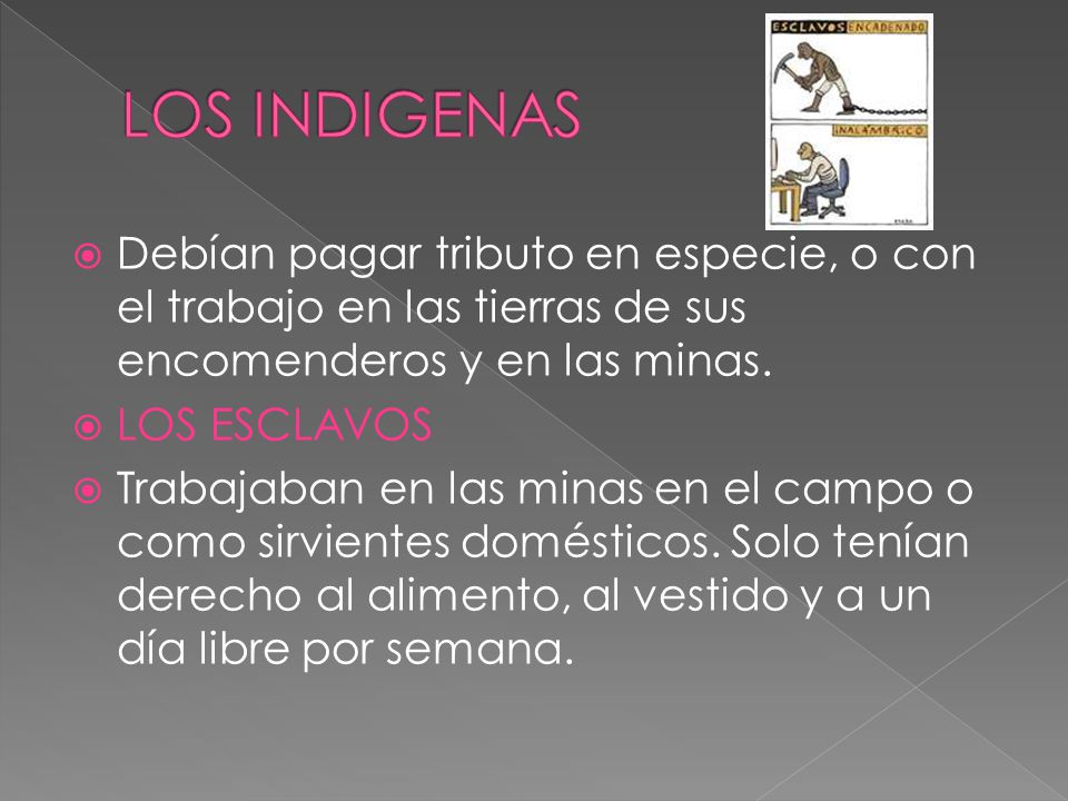 LOS INDIGENAS Debían pagar tributo en especie, o con el trabajo en las tierras de sus encomenderos y en las minas.