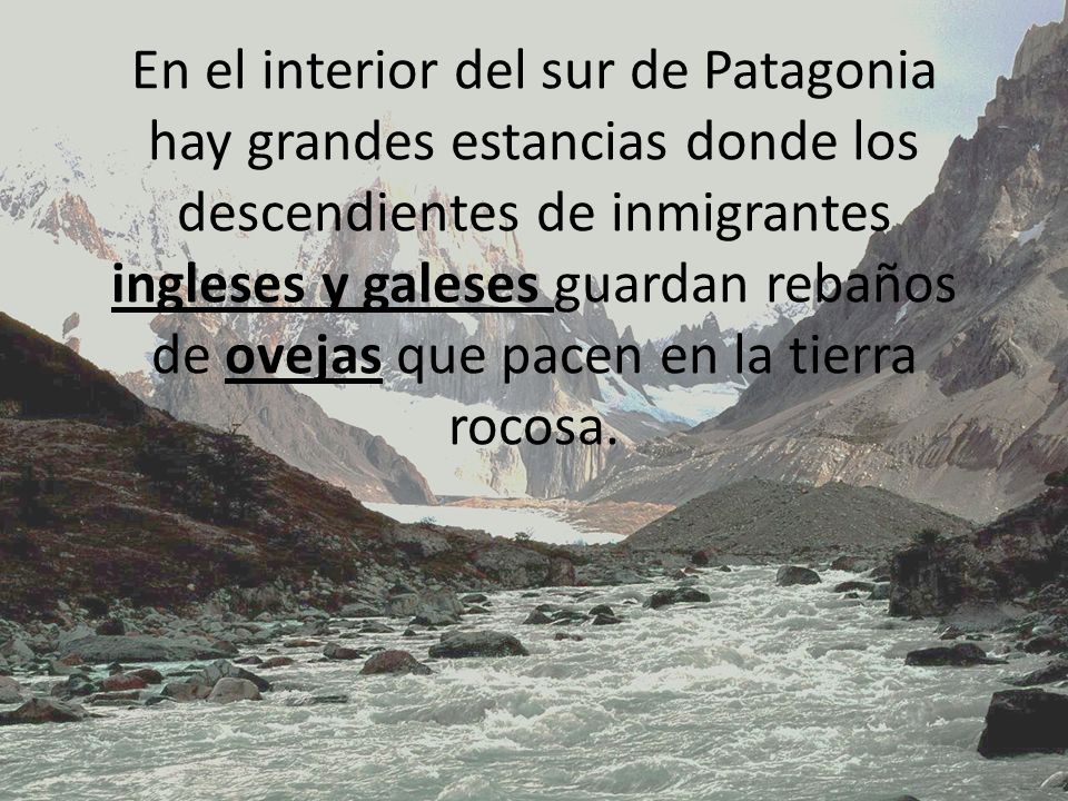 En el interior del sur de Patagonia hay grandes estancias donde los descendientes de inmigrantes ingleses y galeses guardan rebaños de ovejas que pacen en la tierra rocosa.