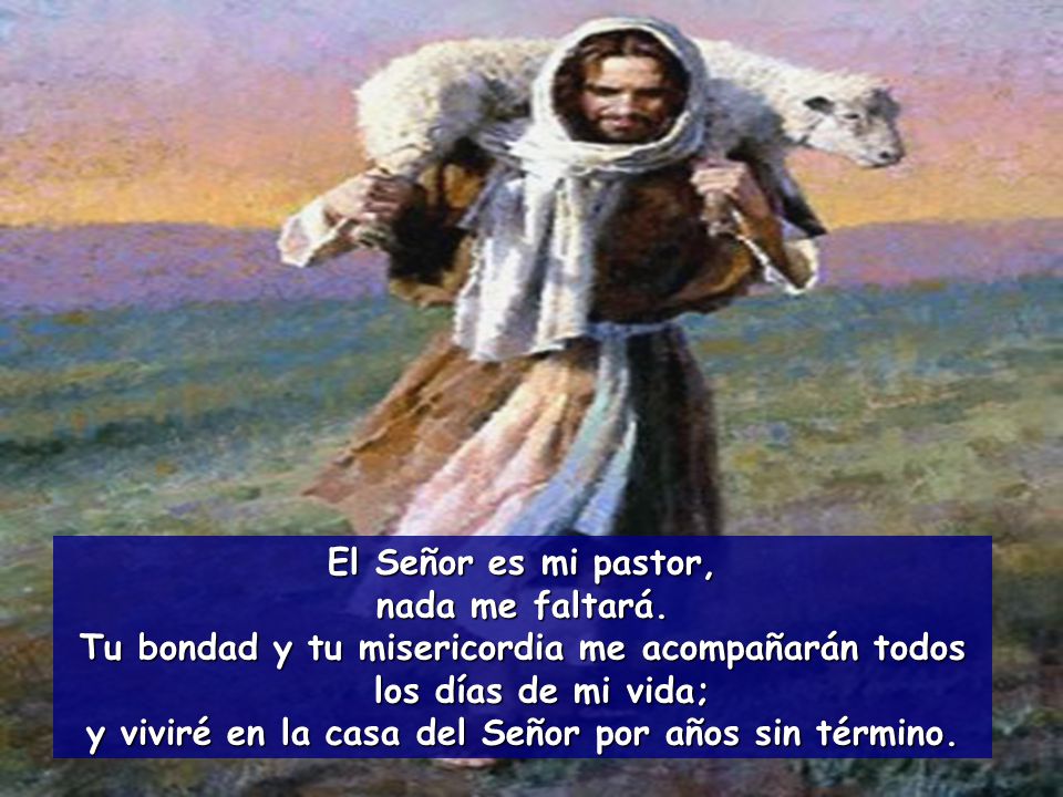 Tu bondad y tu misericordia me acompañarán todos los días de mi vida;