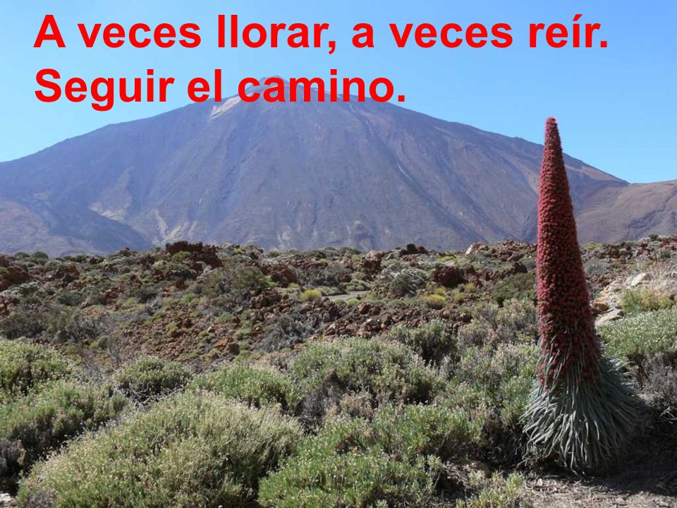 A veces llorar, a veces reír. Seguir el camino.
