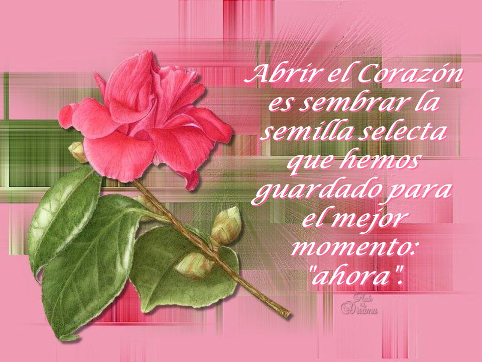 Abrir el Corazón es sembrar la semilla selecta que hemos guardado para el mejor momento: ahora .