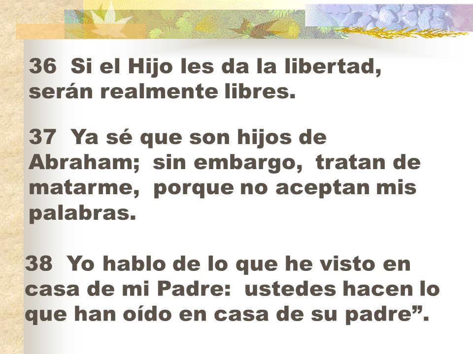 36 Si el Hijo les da la libertad, serán realmente libres.