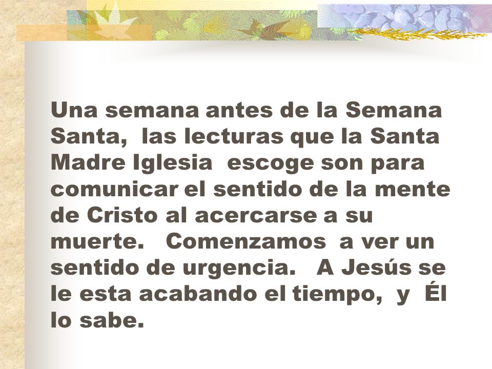 Una semana antes de la Semana Santa, las lecturas que la Santa Madre Iglesia escoge son para comunicar el sentido de la mente de Cristo al acercarse a su muerte.