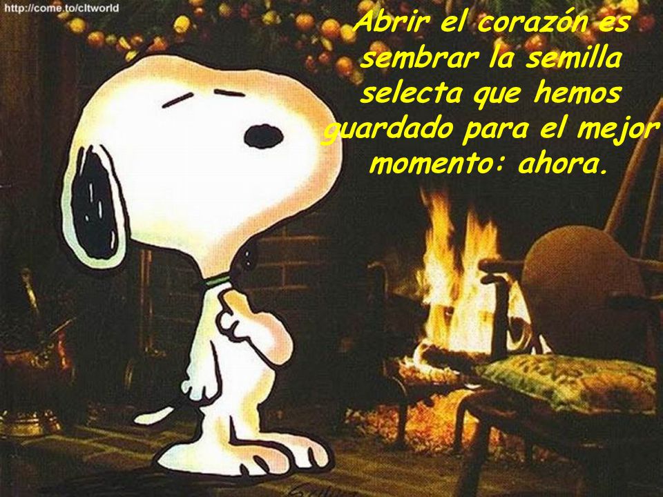 Abrir el corazón es sembrar la semilla selecta que hemos guardado para el mejor momento: ahora.
