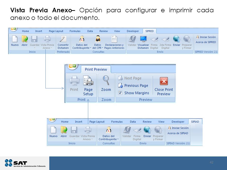 Vista Previa Anexo– Opción para configurar e imprimir cada anexo o todo el documento.