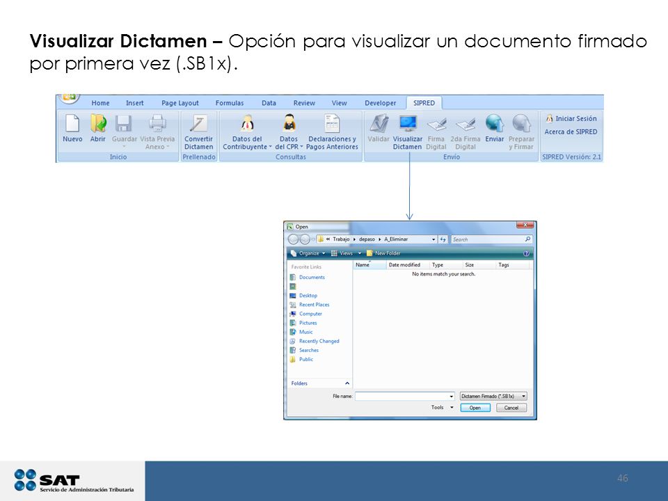 Visualizar Dictamen – Opción para visualizar un documento firmado por primera vez (.SB1x).