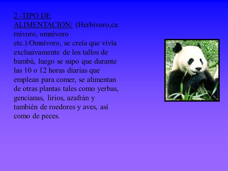 2. -TIPO DE ALIMENTACION: (Herbivoro,carnívoro, omnívoro etc